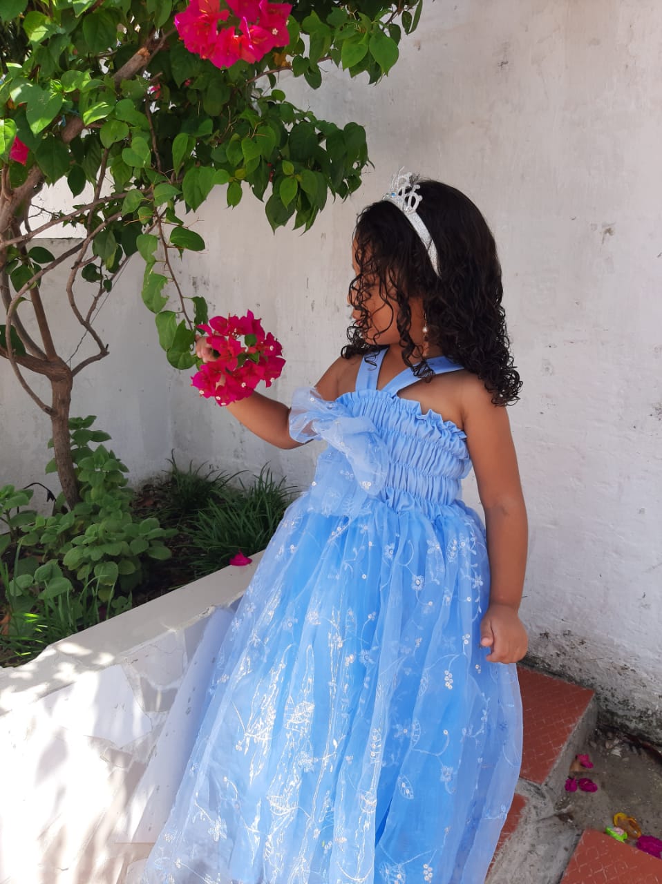 Flores